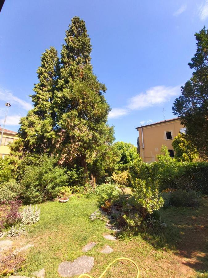 B&B Rustic Chic Casa Salva モリネッラ エクステリア 写真